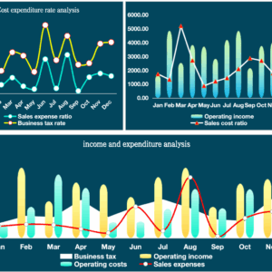 Income and Expenditure Analysis