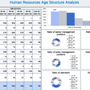 Human Resources Age Structure Analysis